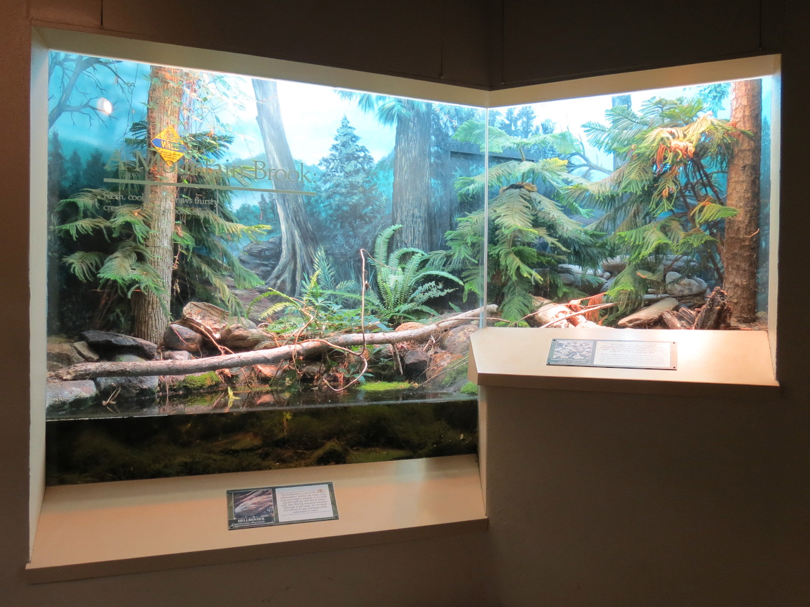 ARC - South Carolina - Mountain Brook Exhibit