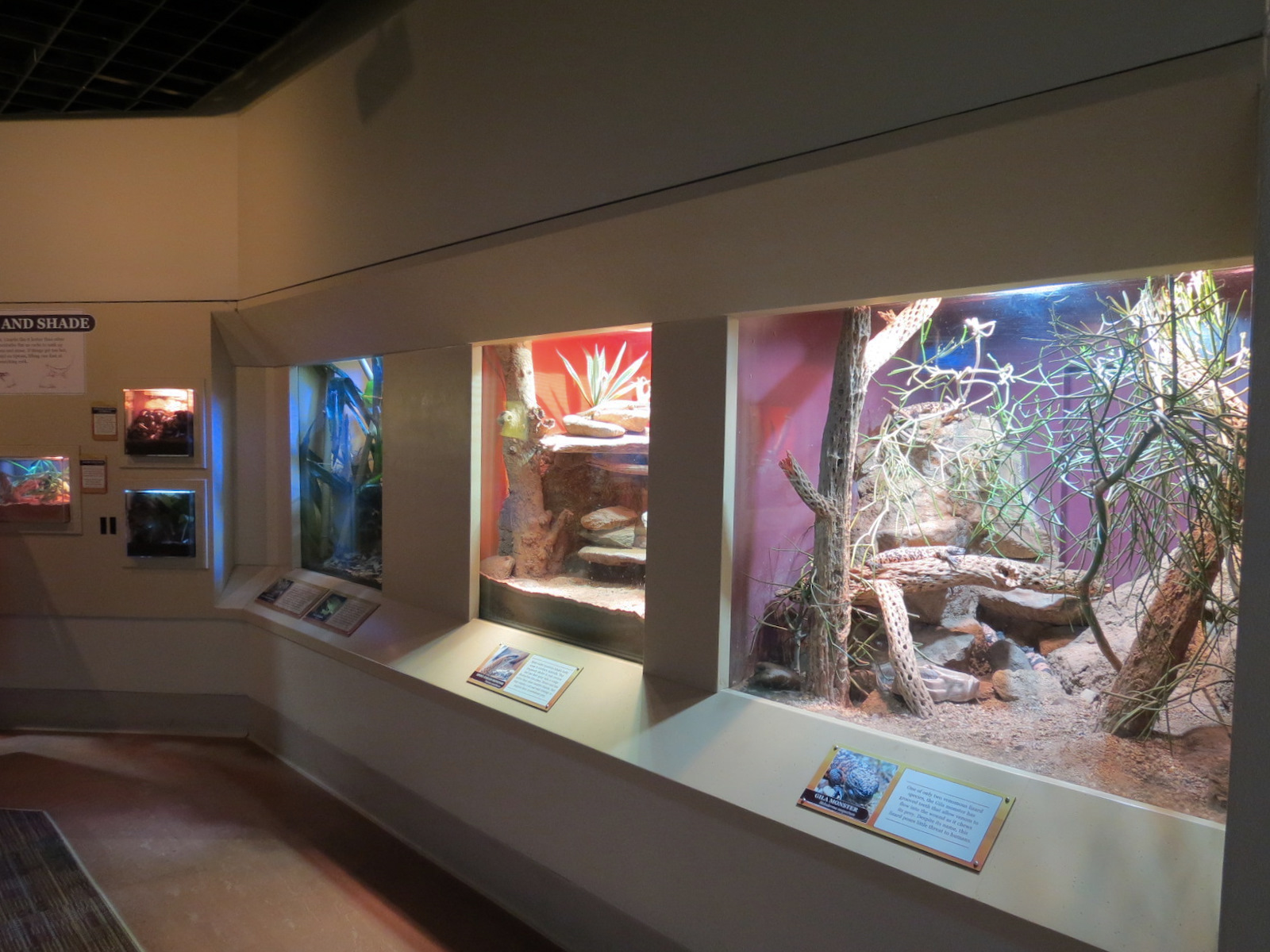 ARC - The Desert - Exhibit Room