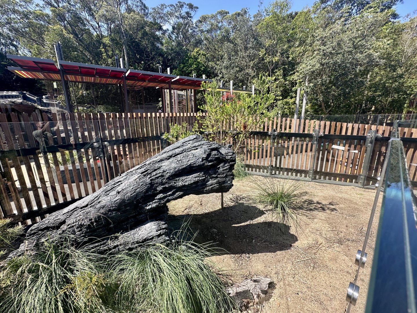 ARC - Tiger Snake Exhibit