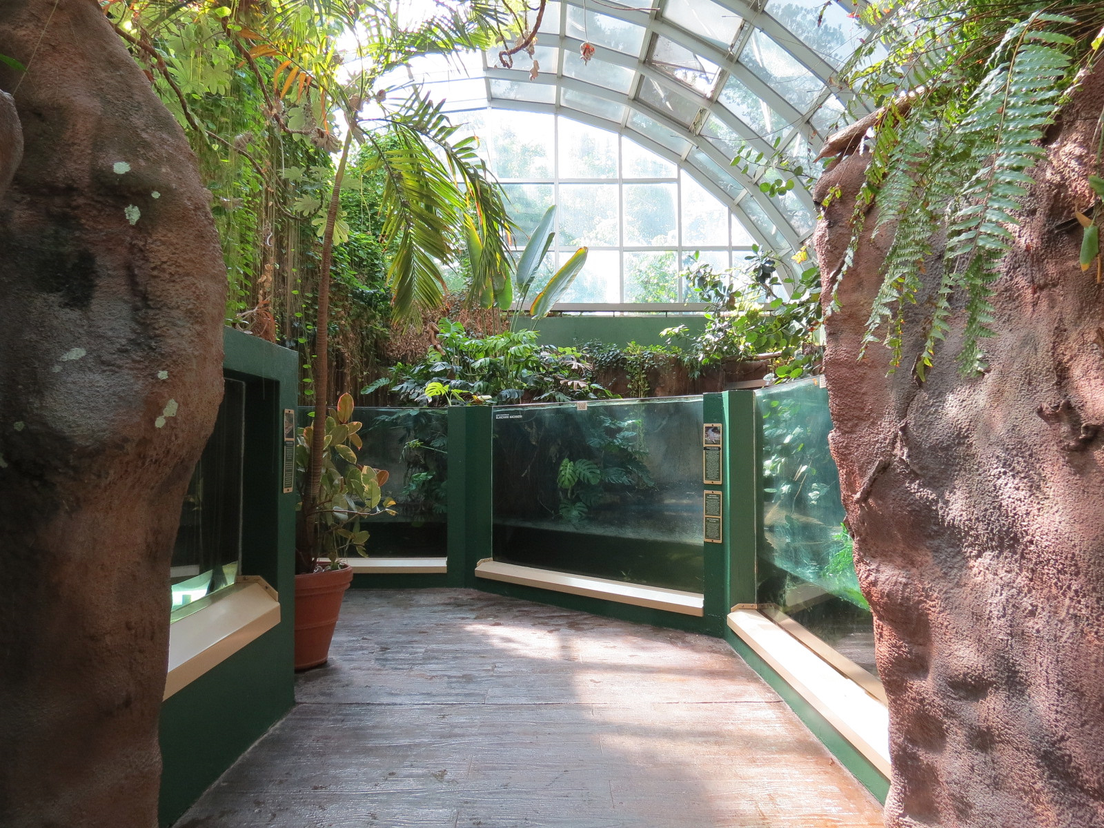 ARC - Tropical Rainforests - Exhibit Room