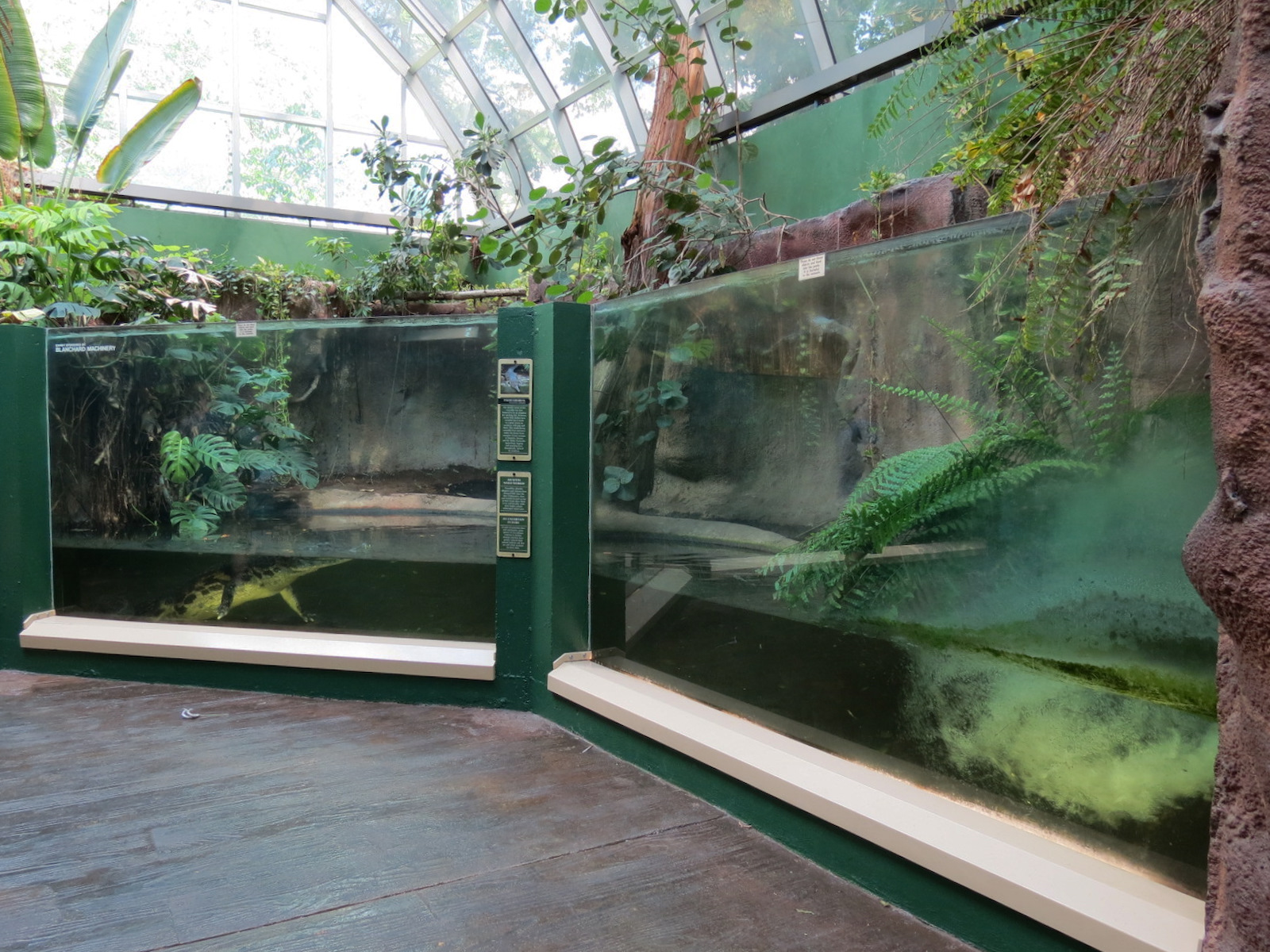 ARC - Tropical Rainforests - False Gharial Exhibit