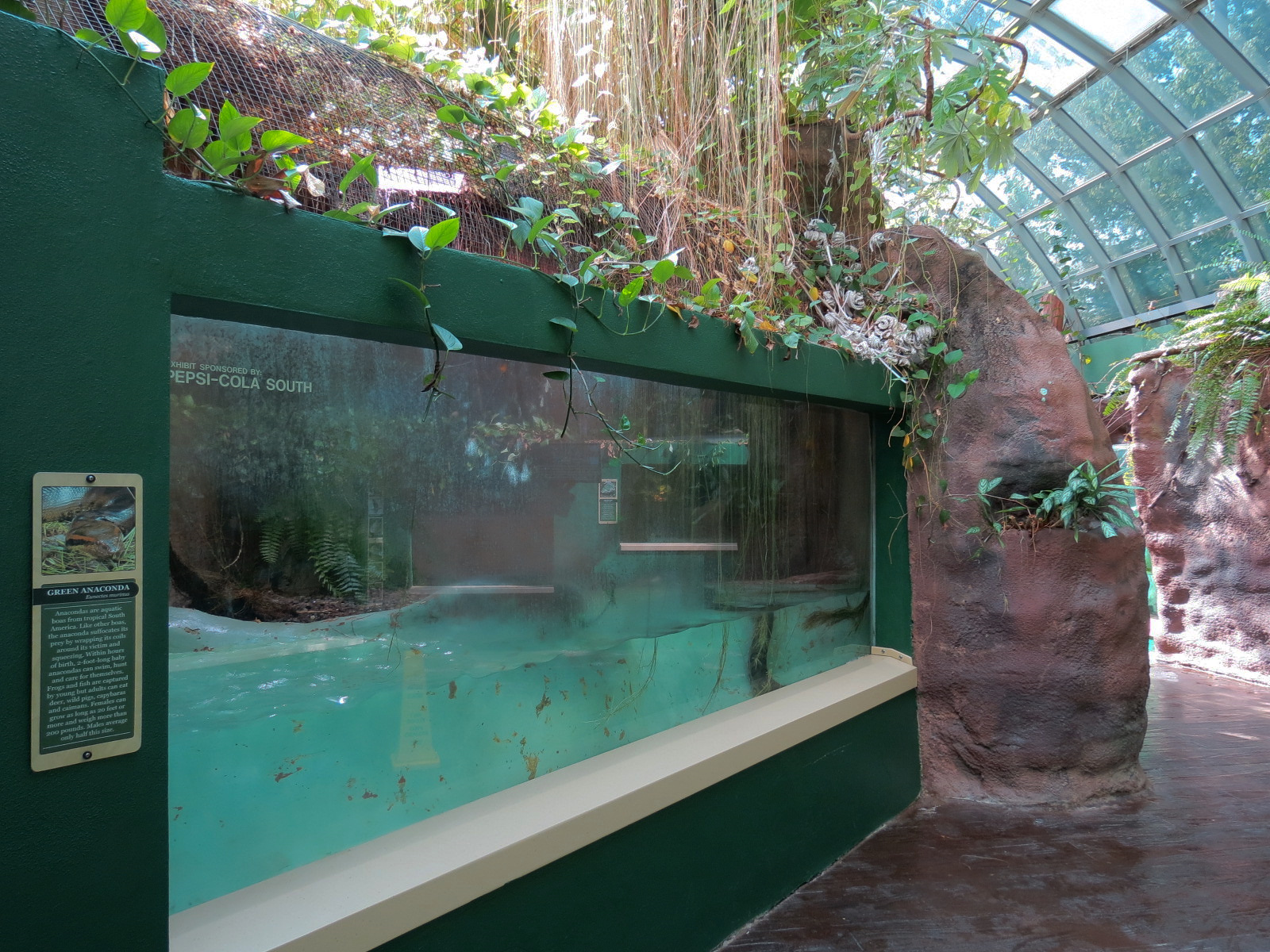 ARC - Tropical Rainforests - Green Anaconda Exhibit