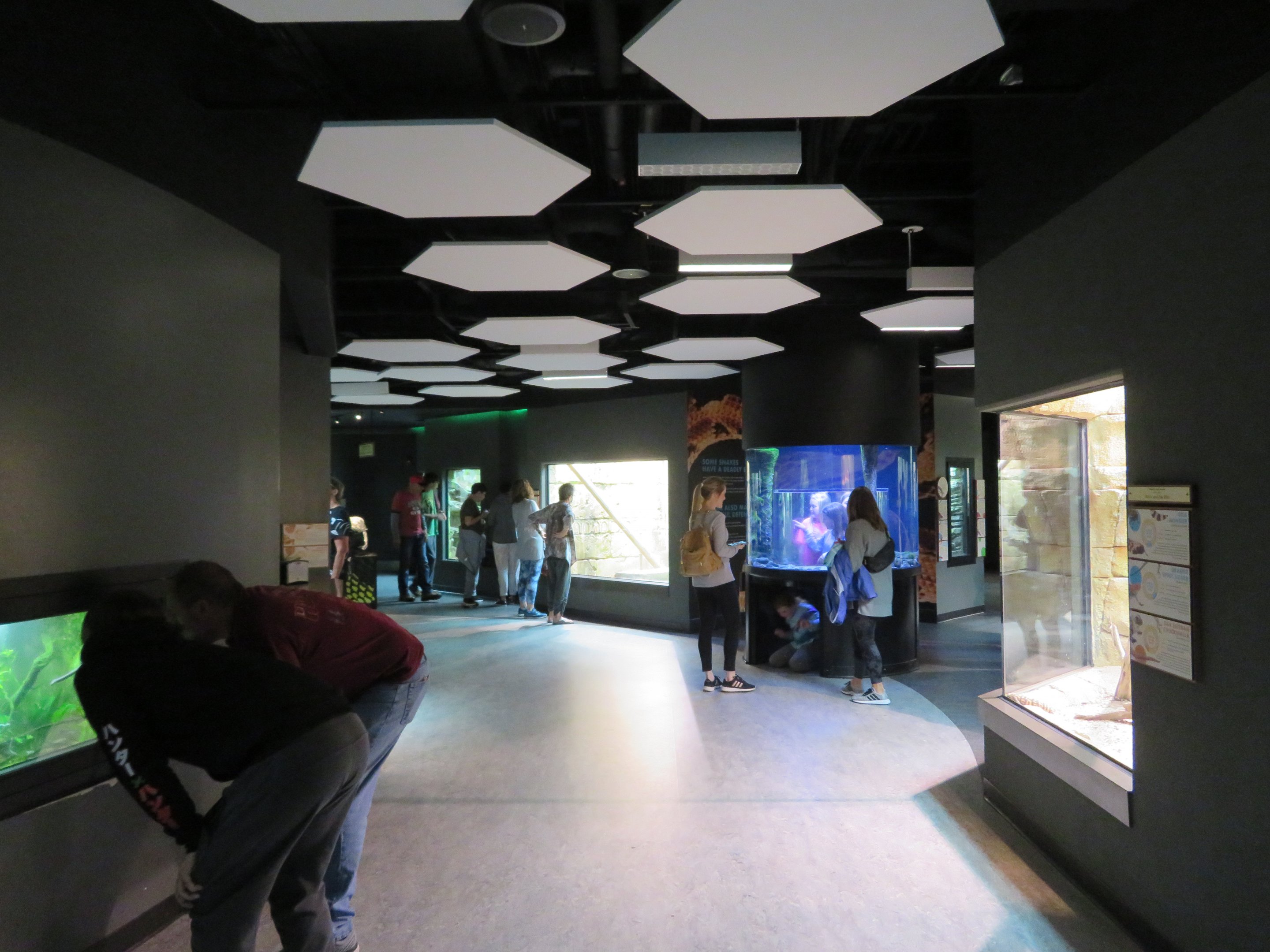 ARC View of Second Room