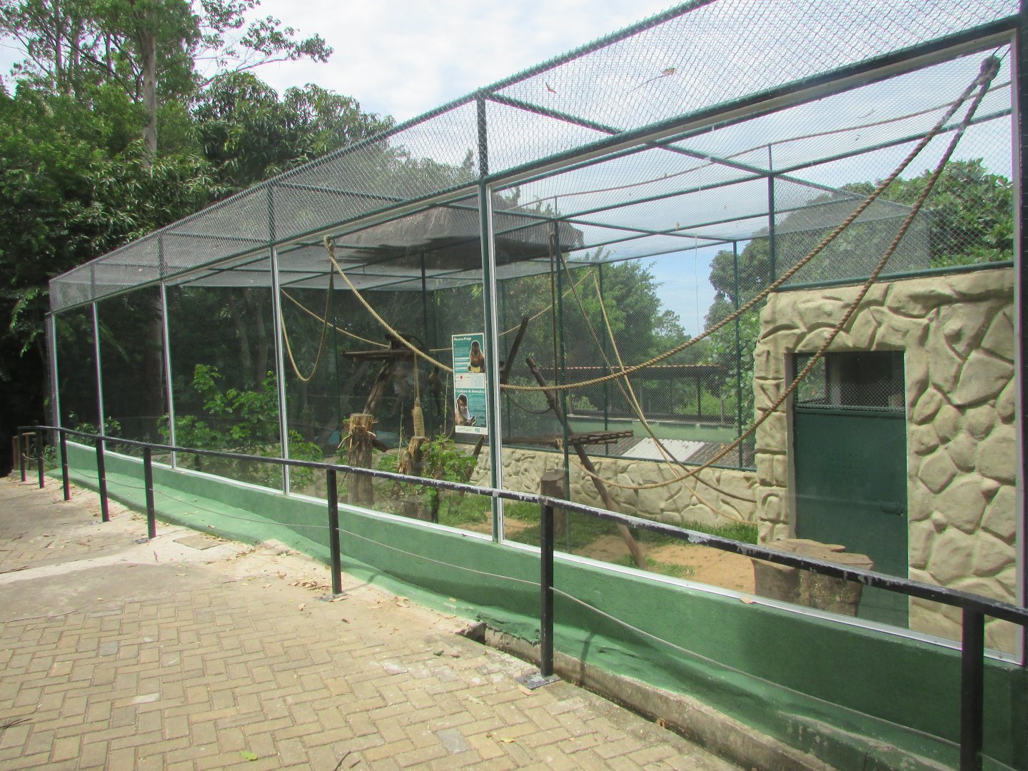 Arca do Noah - Horned capuchin enclosure