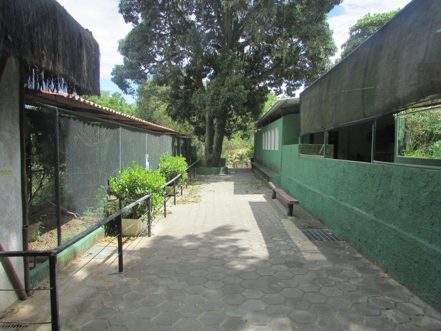 Arca do Noah - Marmoset enclosures