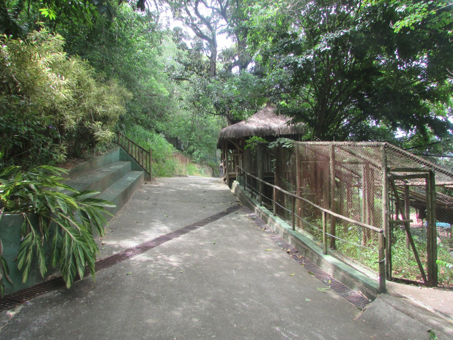 Arca do Noah - Native fauna corridor