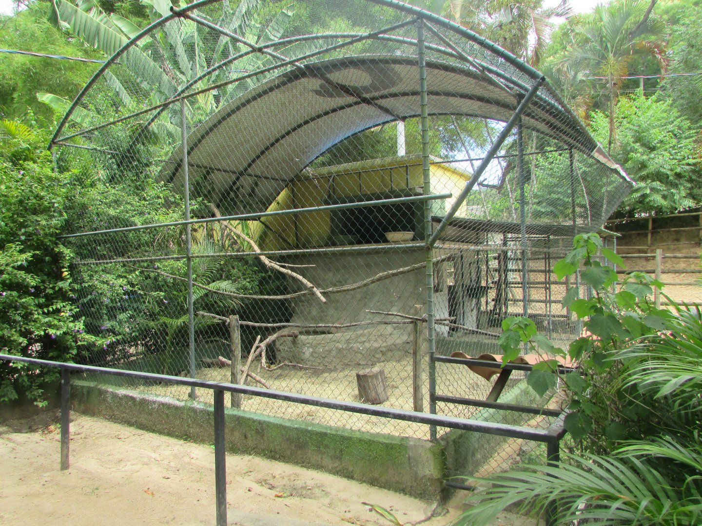 Arca do Noah - Nova Gansópolis