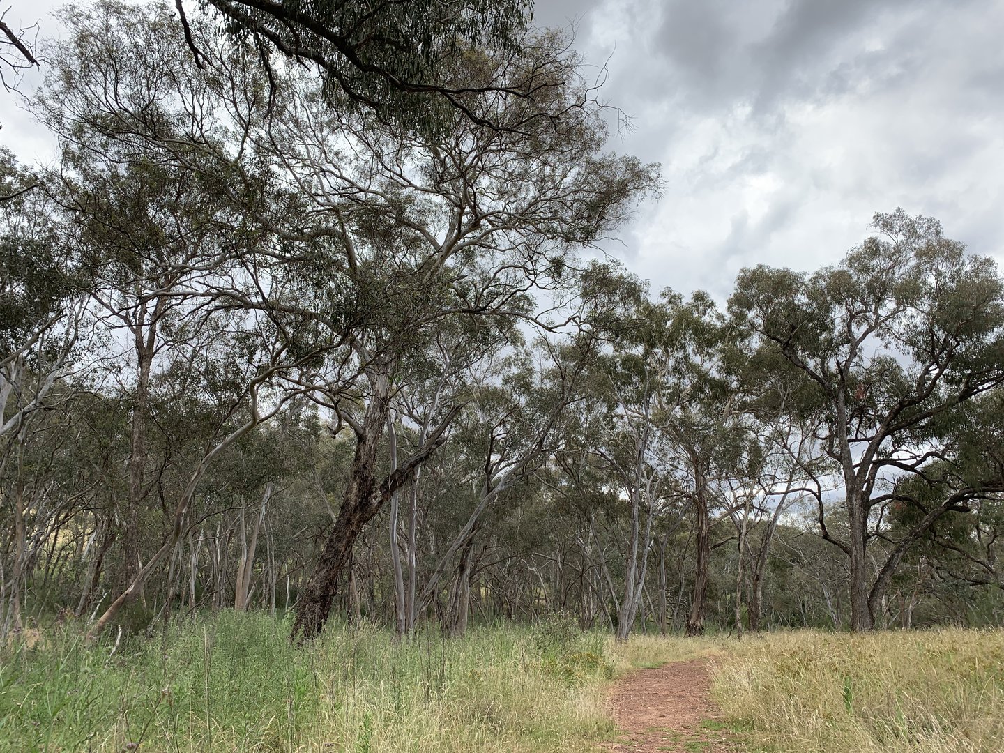 Arch Cave Loop Walking Track