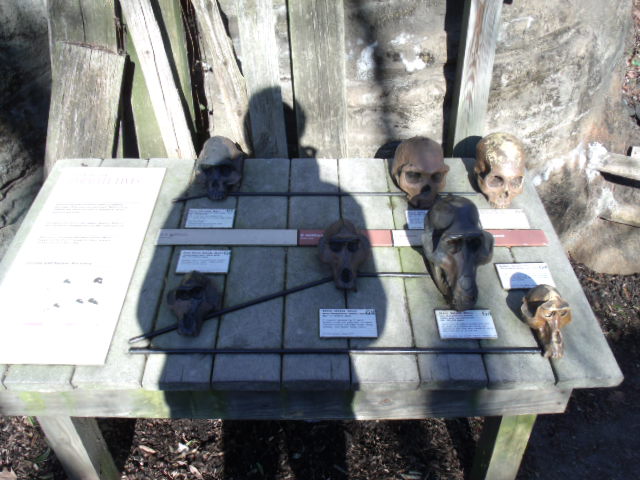 Archaeological Dig Site