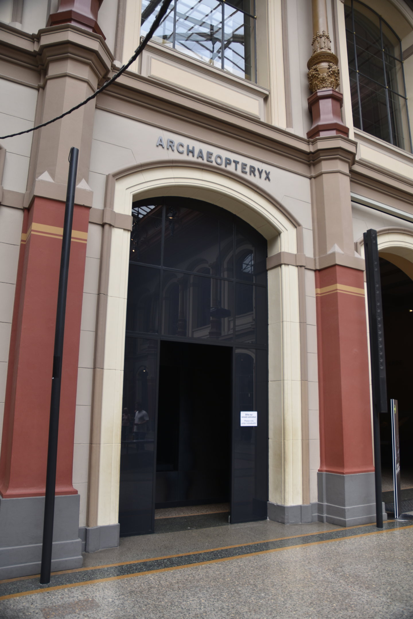 Archaeopteryx Room, Museum für Naturkunde, Berlin, 7th June 2023