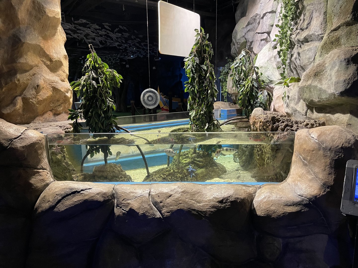 archerfish exhibit (2)