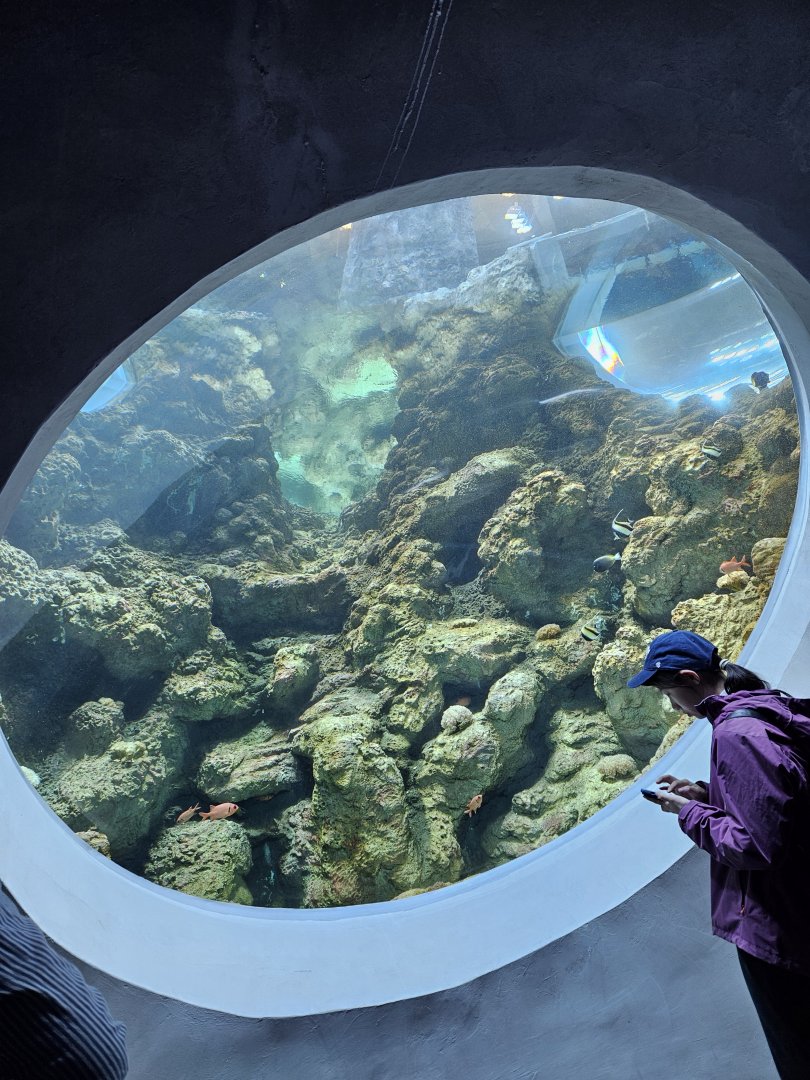 'Archipelago' Inshore Reef (Bottom view)