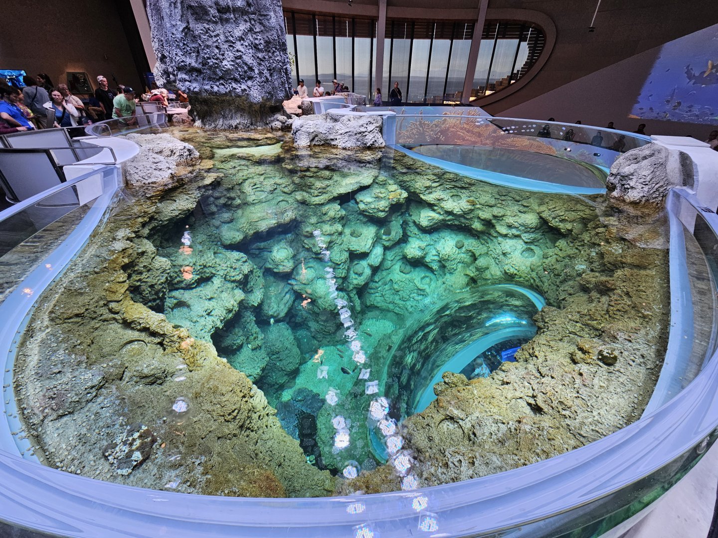 'Archipelago' Inshore Reef (Top view)