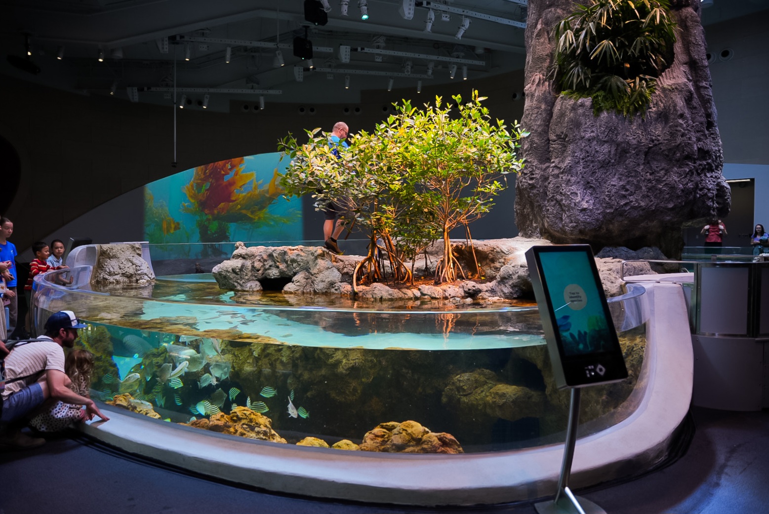 'Archipelago' Mangrove Lagoon