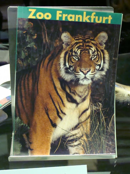 Archival guide to the zoo