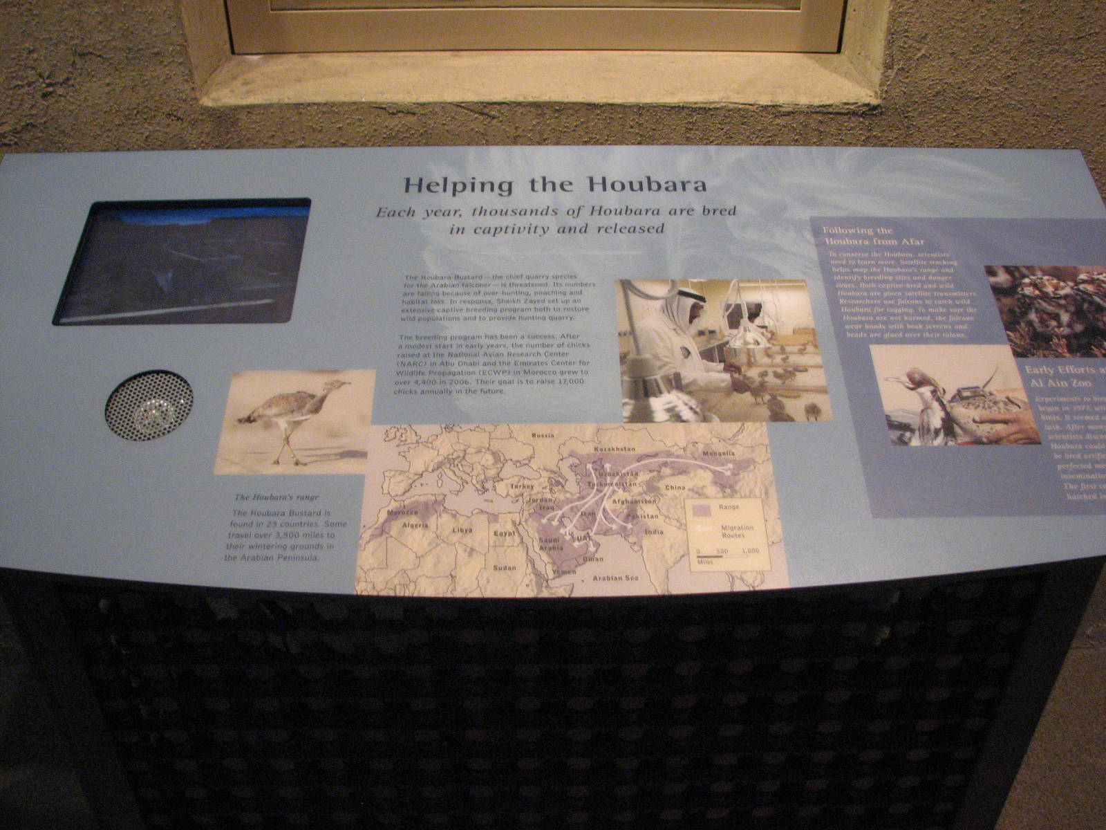 Archives of Falconry - Houbara Bustard Sign
