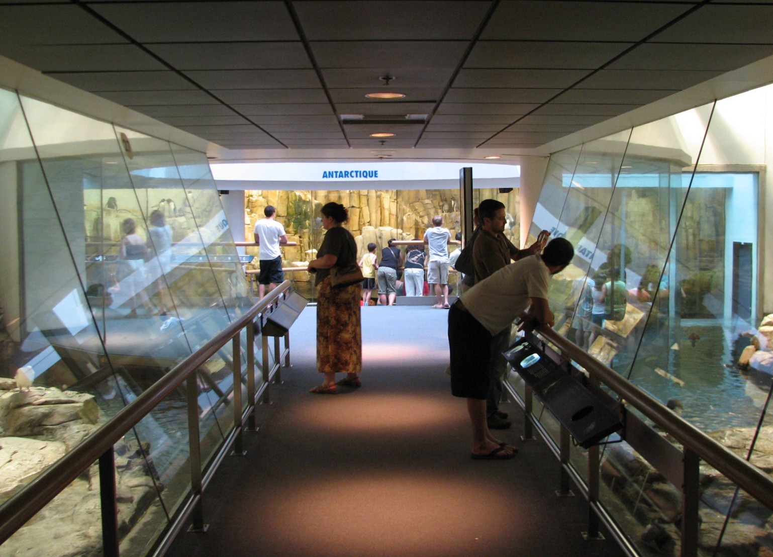 Arctic and Antartic Exhibits