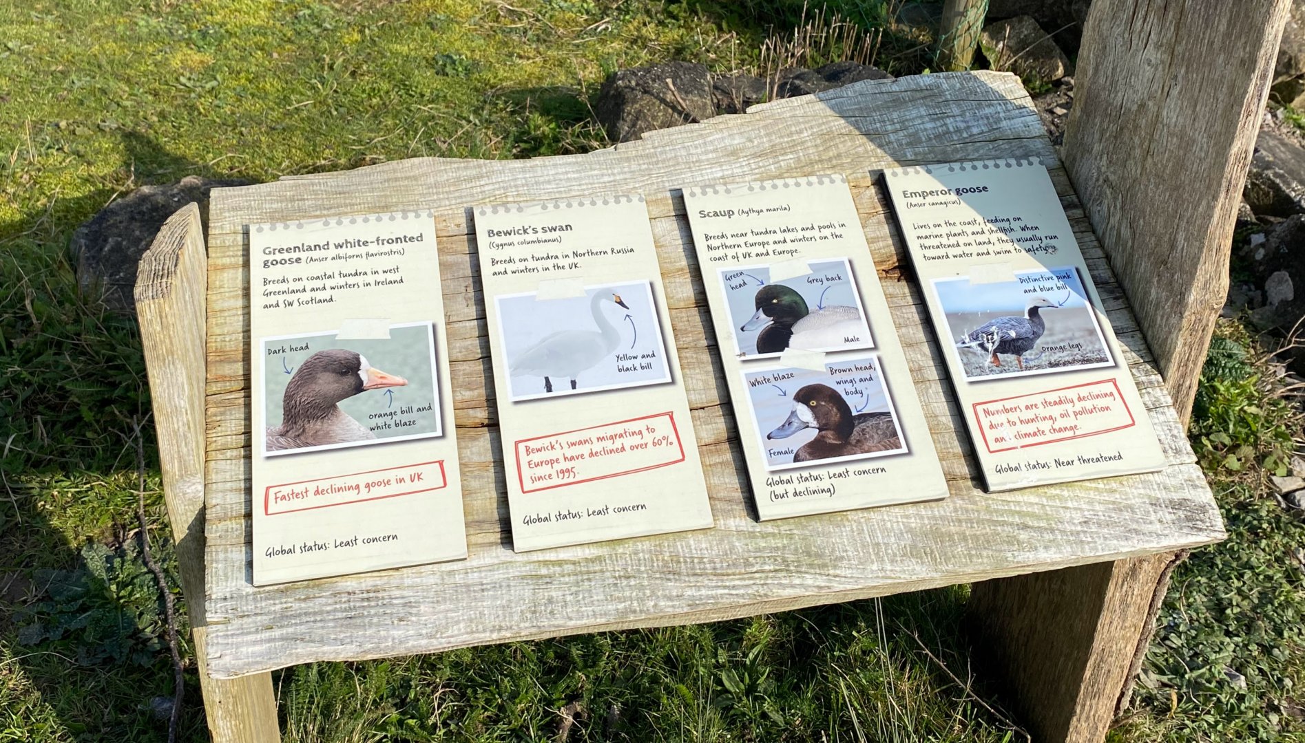 Arctic area signage, WWT Slimbridge, UK