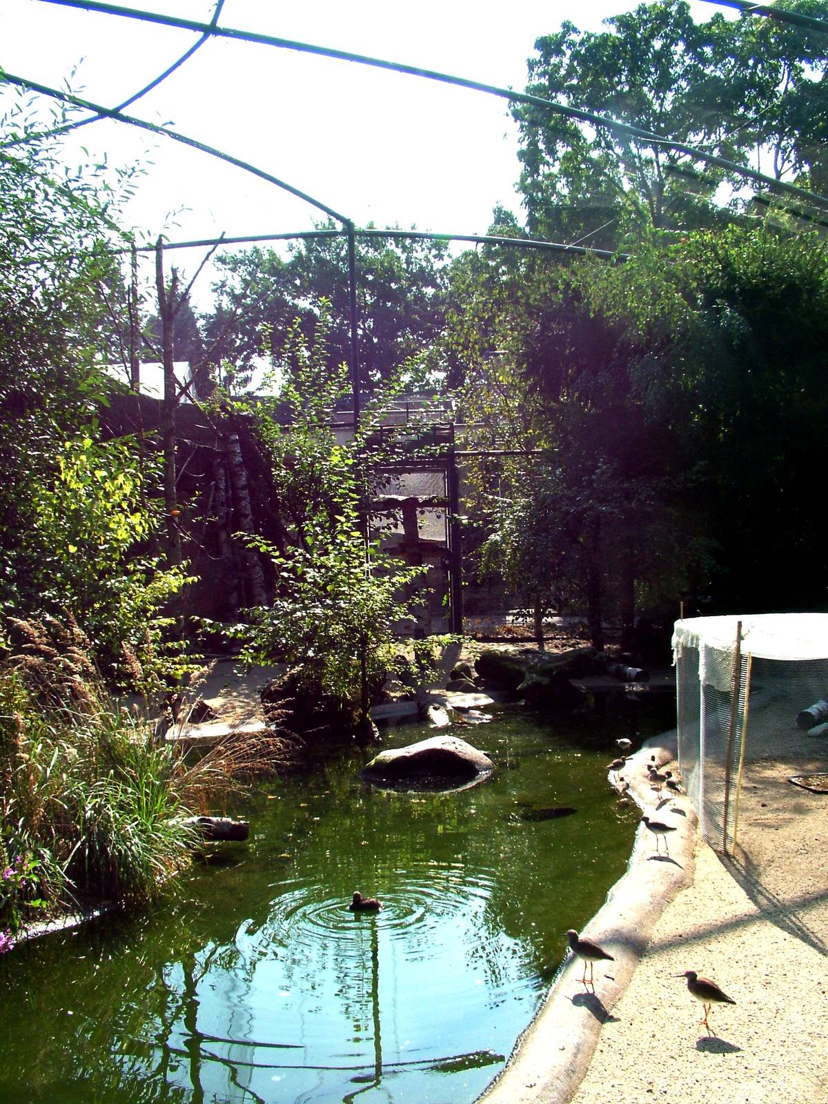 Arctic Aviary Interior at Dresden, 29/08/12