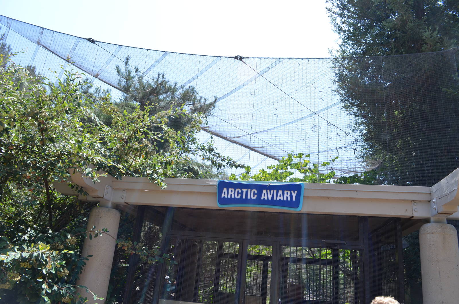 Arctic Aviary - Northern Frontier