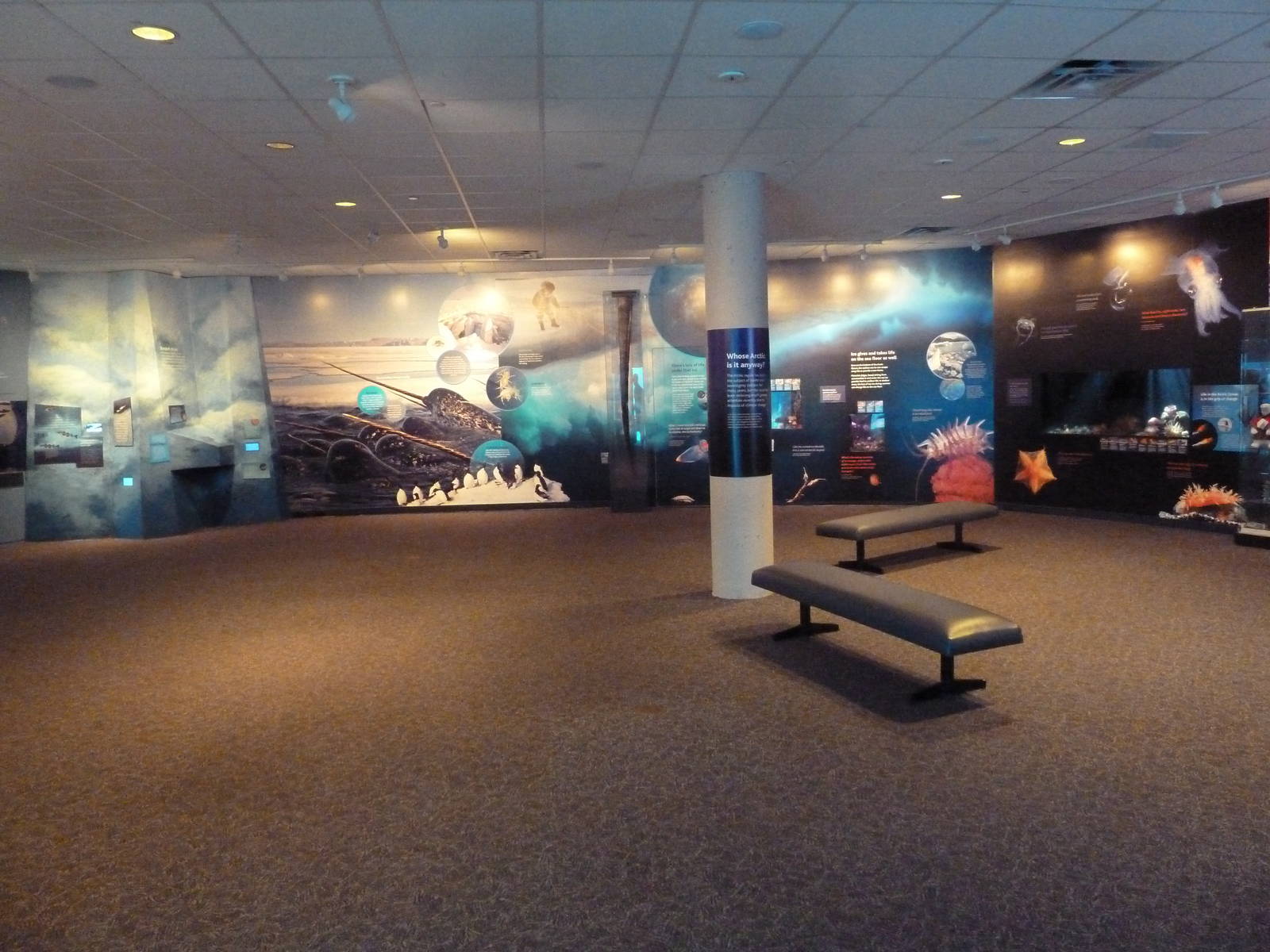 Arctic Canada - Exhibits + Signs