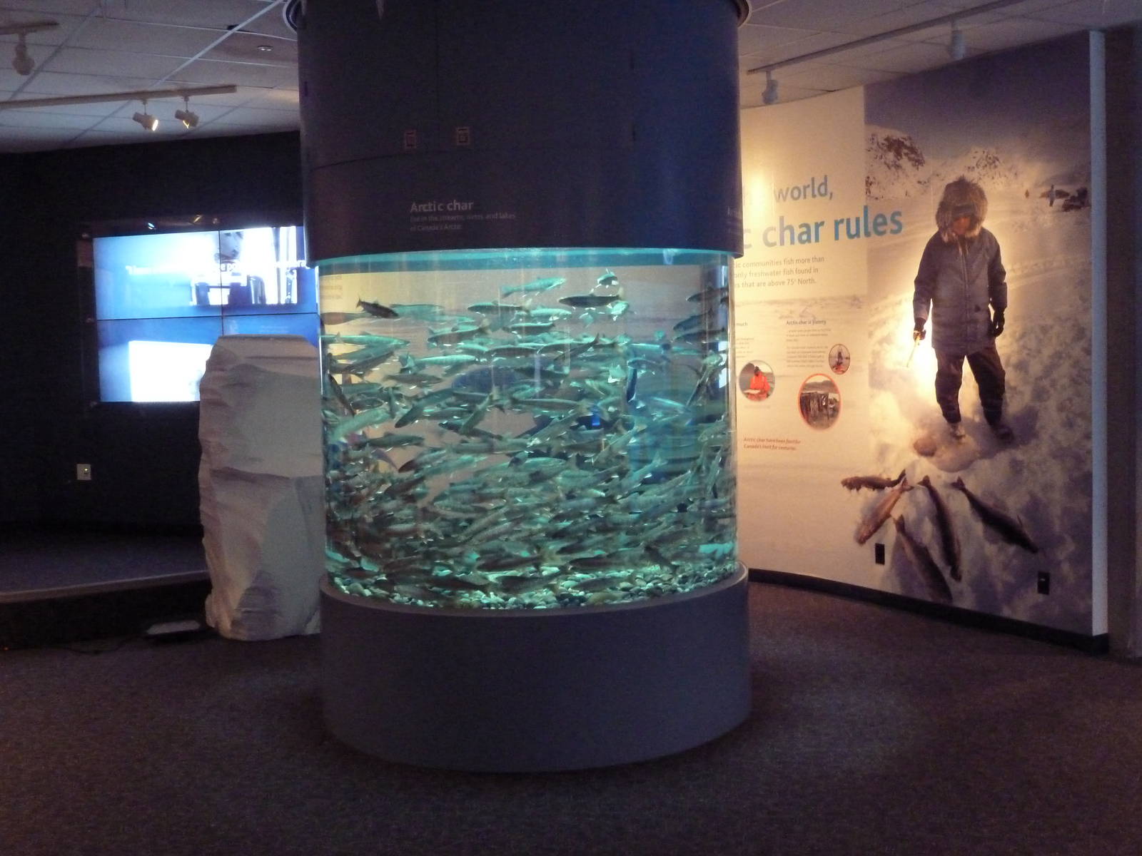 Arctic Canada Signage + Arctic Char - New In Oct. 2009