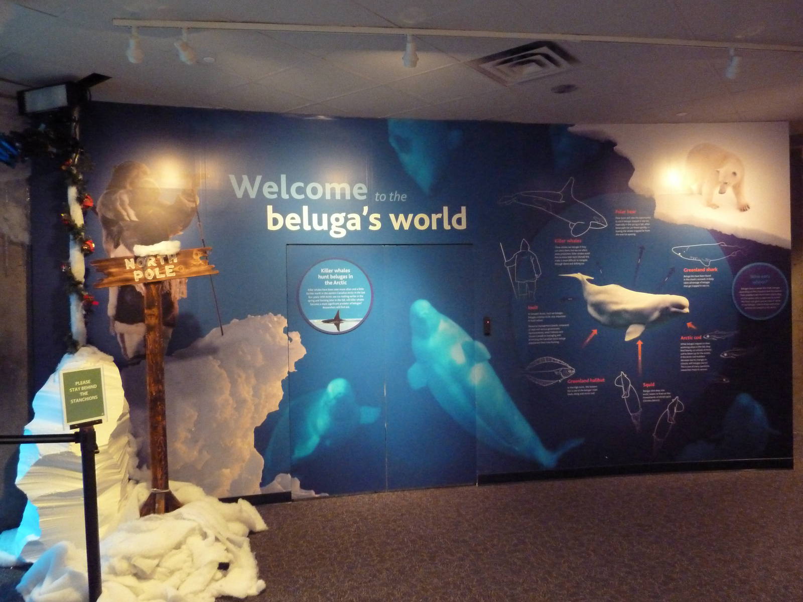 Arctic Canada Signage - New In Oct. 2009