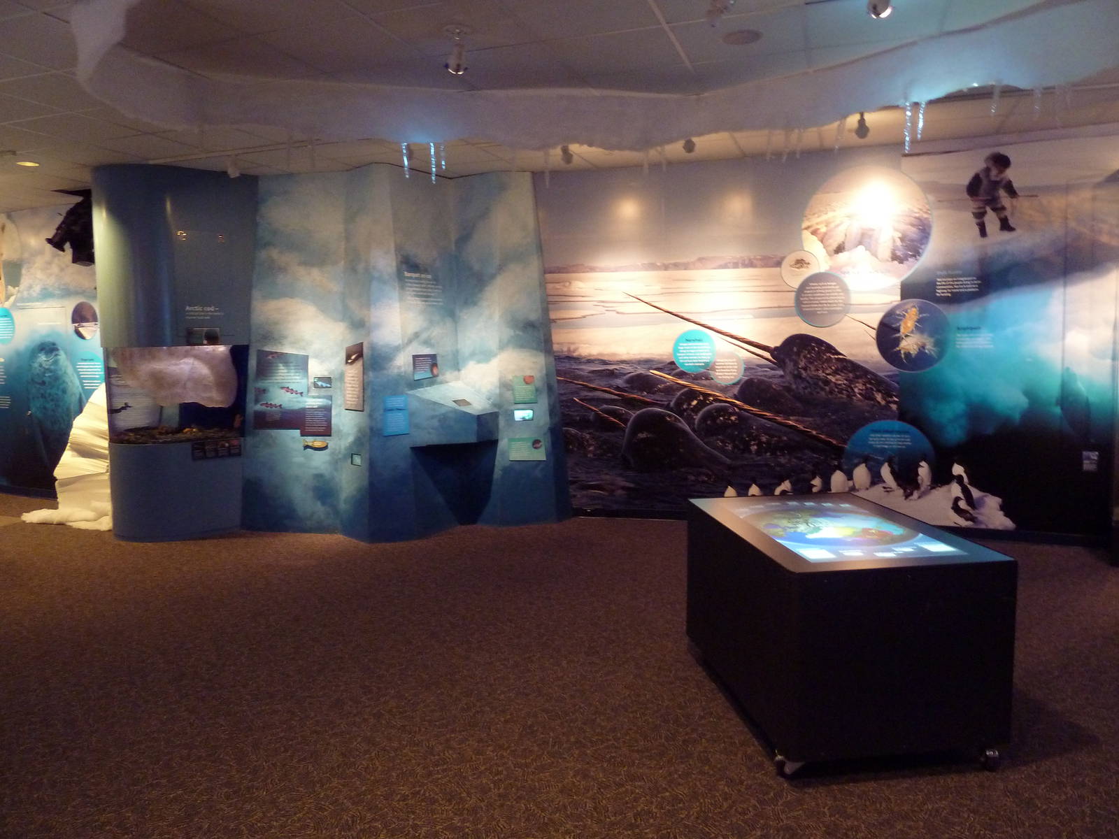 Arctic Canada Signage - New In Oct. 2009