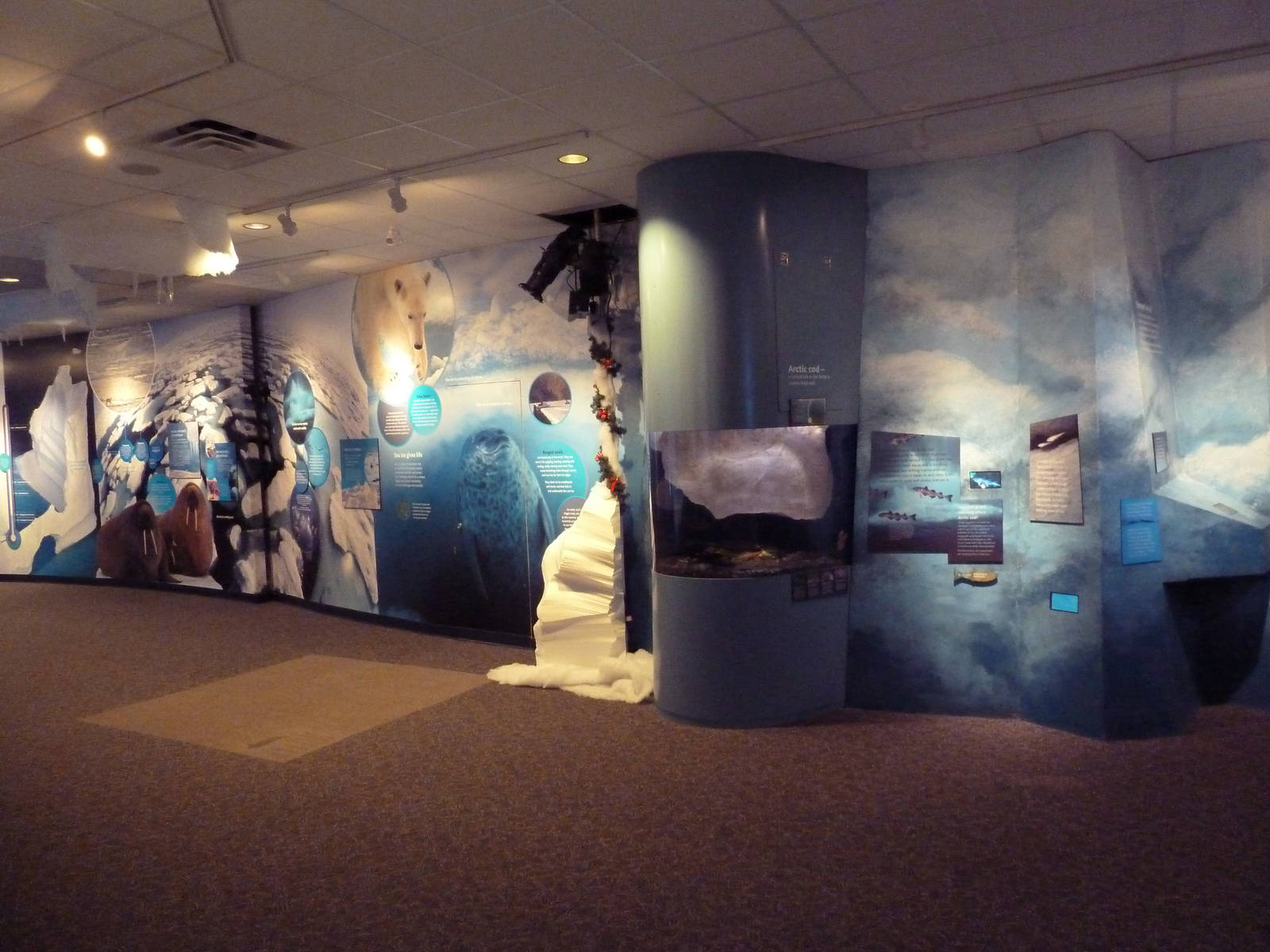 Arctic Canada Signage - New In Oct. 2009