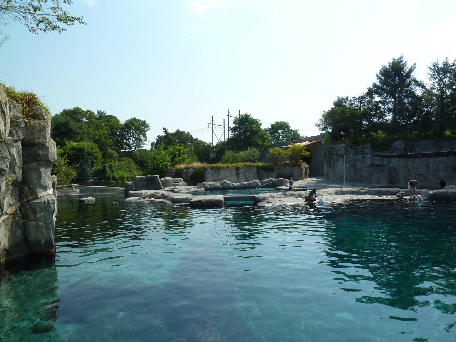 Arctic Coast - Beluga Whale Exhibit