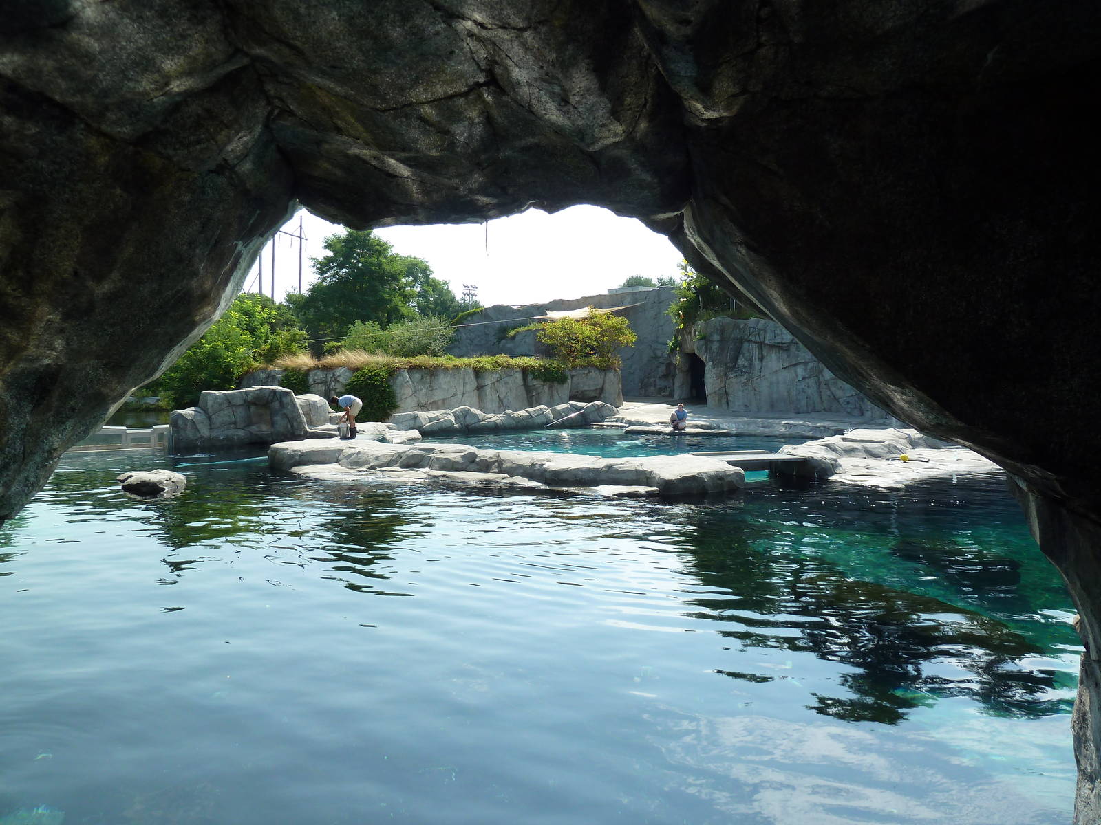 Arctic Coast - Beluga Whale Exhibit