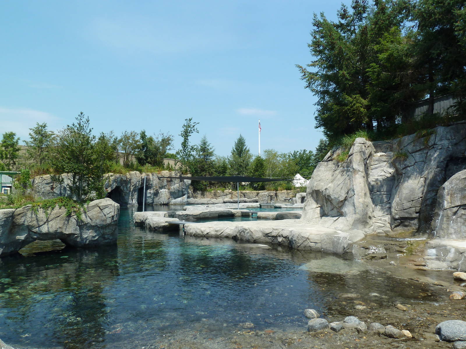 Arctic Coast - Beluga Whale Exhibit