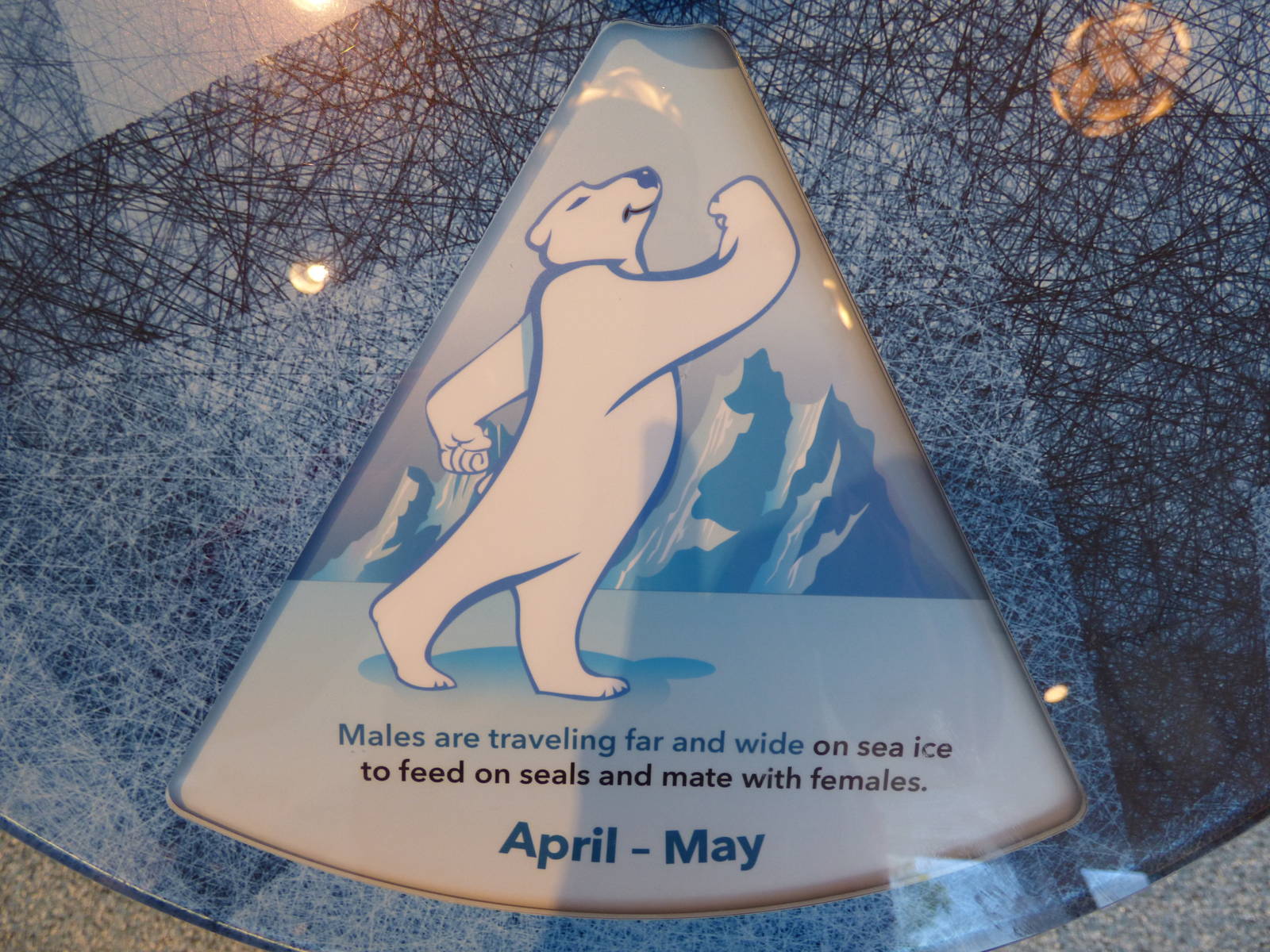 Arctic Edge - Interpretive Center