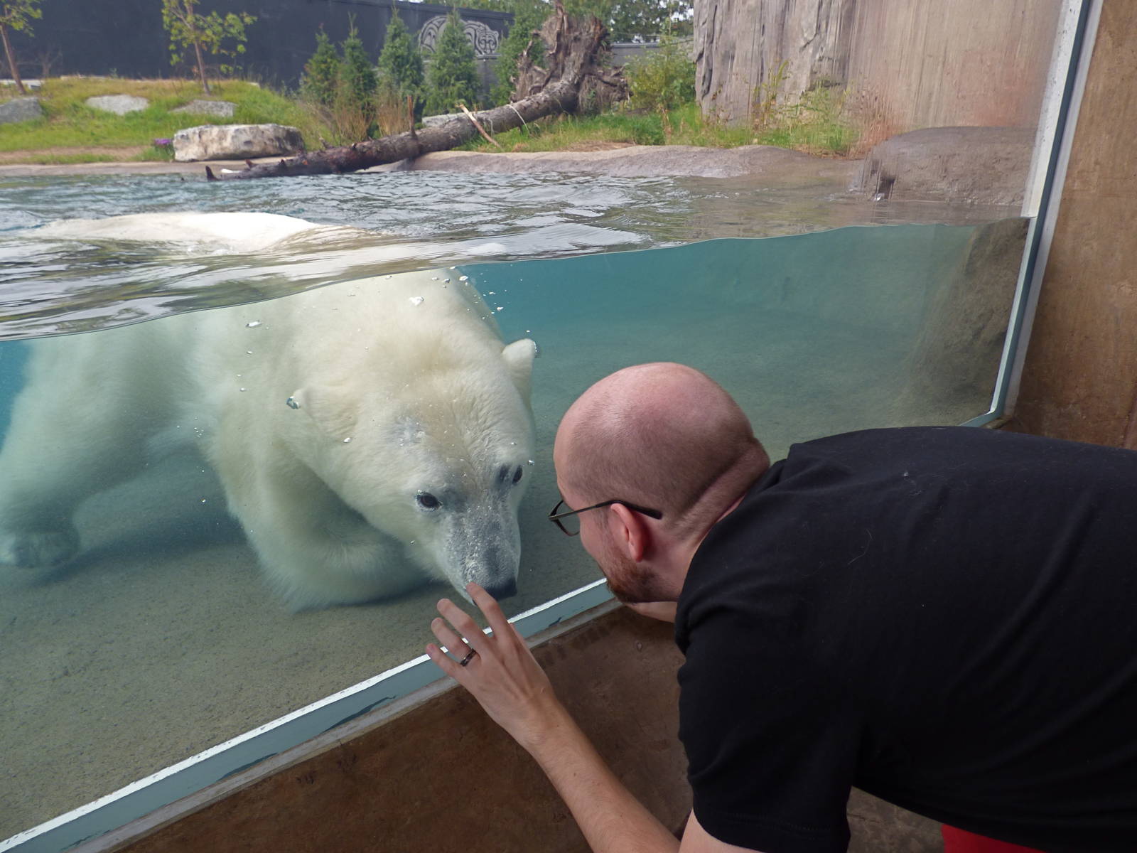 Arctic Edge - Luna & Me