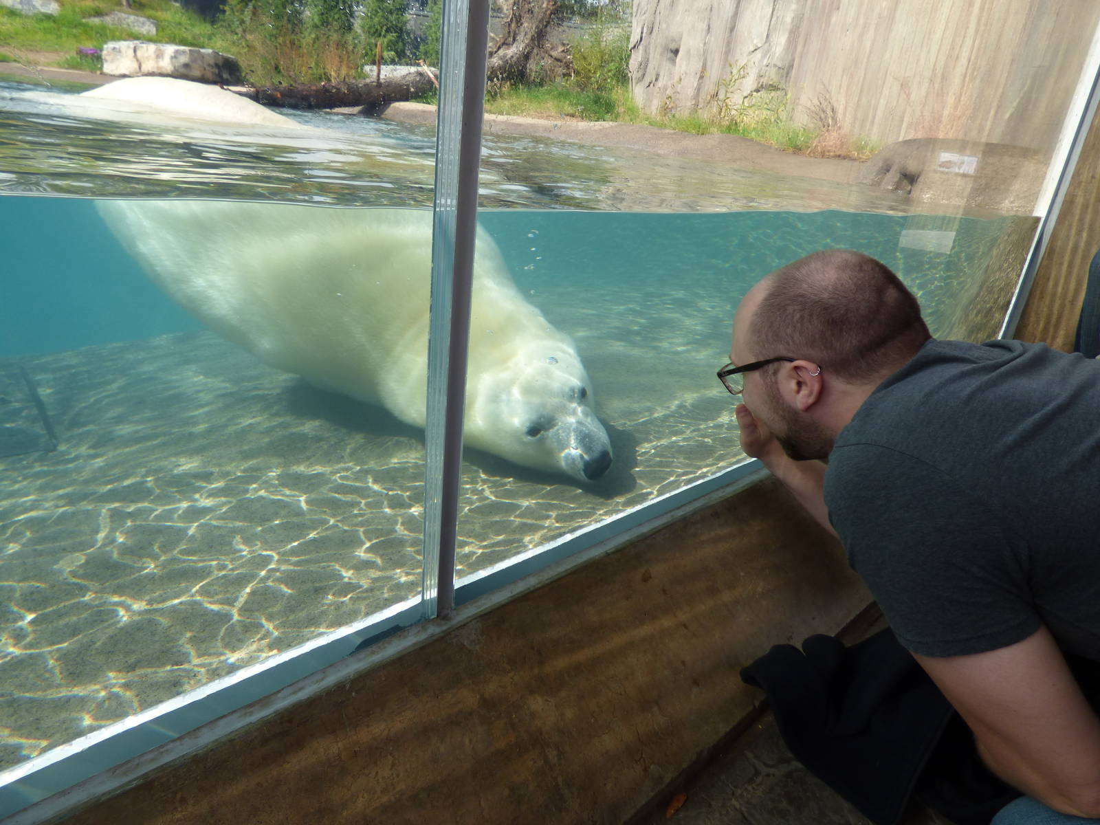 Arctic Edge - Luna Slinks Towards My Husband