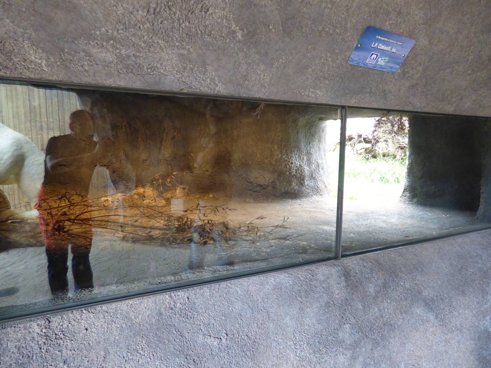 Arctic Edge - Polar Bear Den