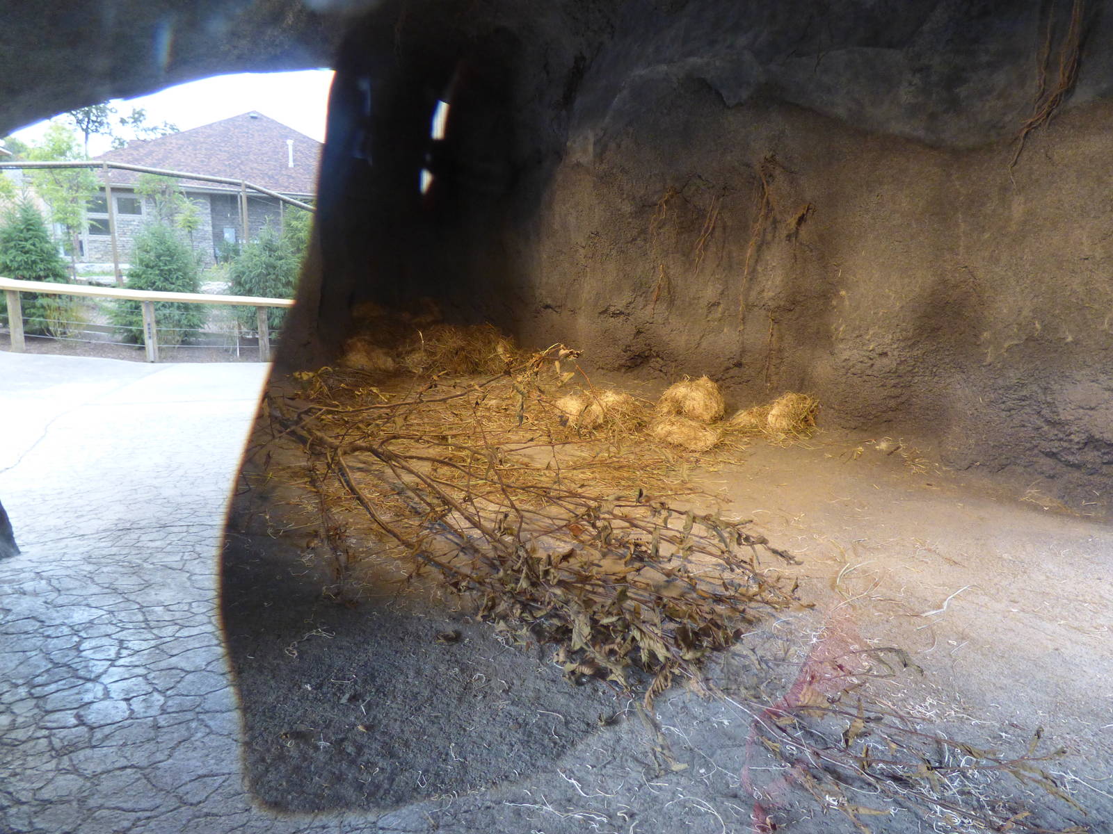 Arctic Edge - Polar Bear Den