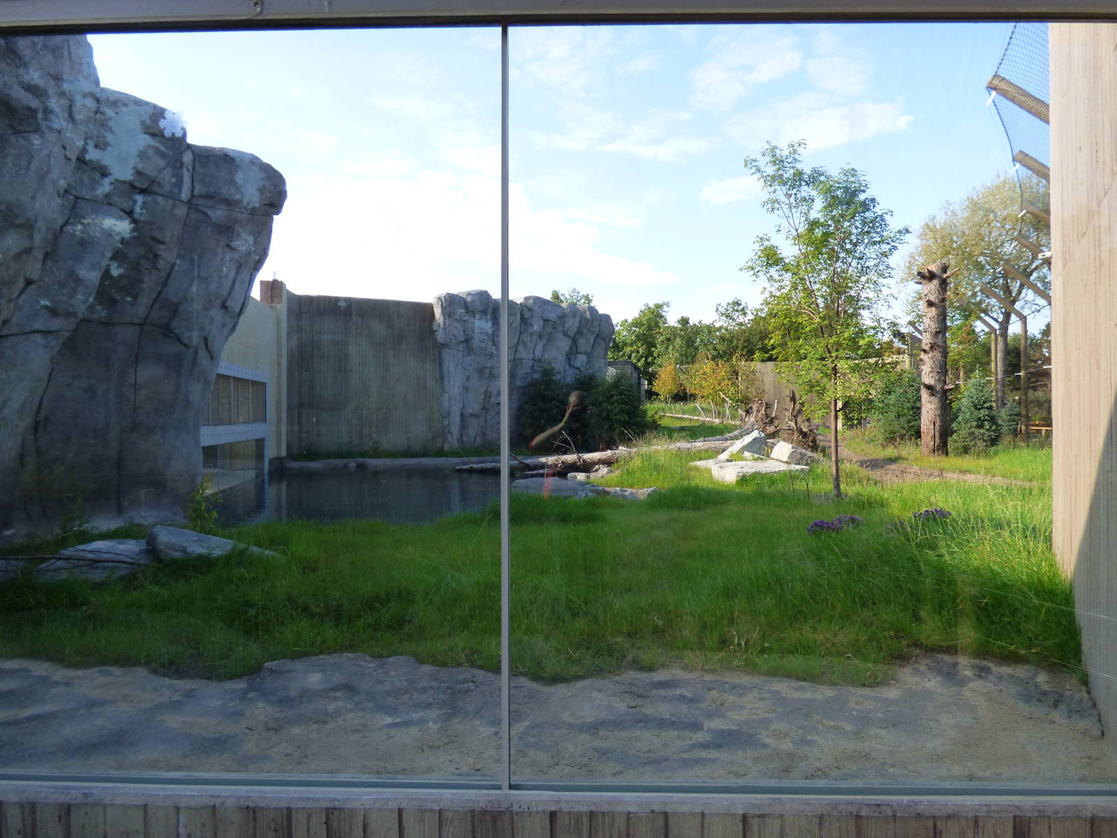 Arctic Edge - Side View of Polar Bear Exhibit #2