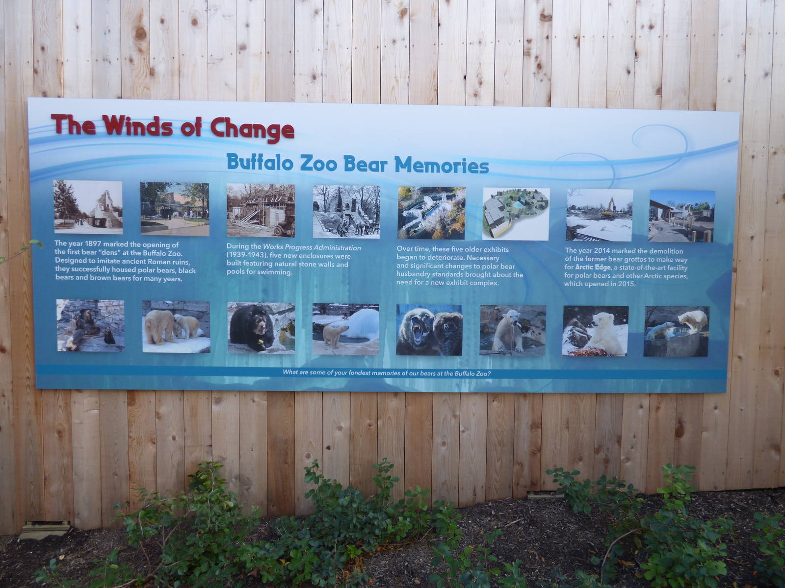 Arctic Edge Signage; Homage to the Bears