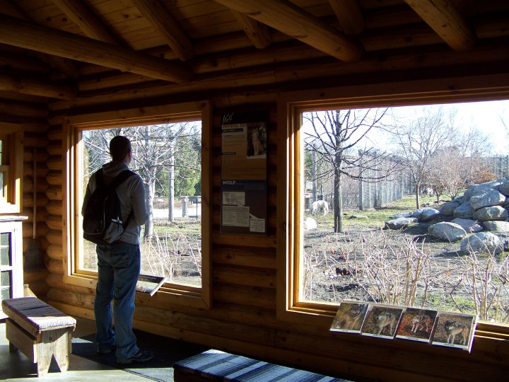 Arctic Encounter - Arctic Wolf Viewing Area