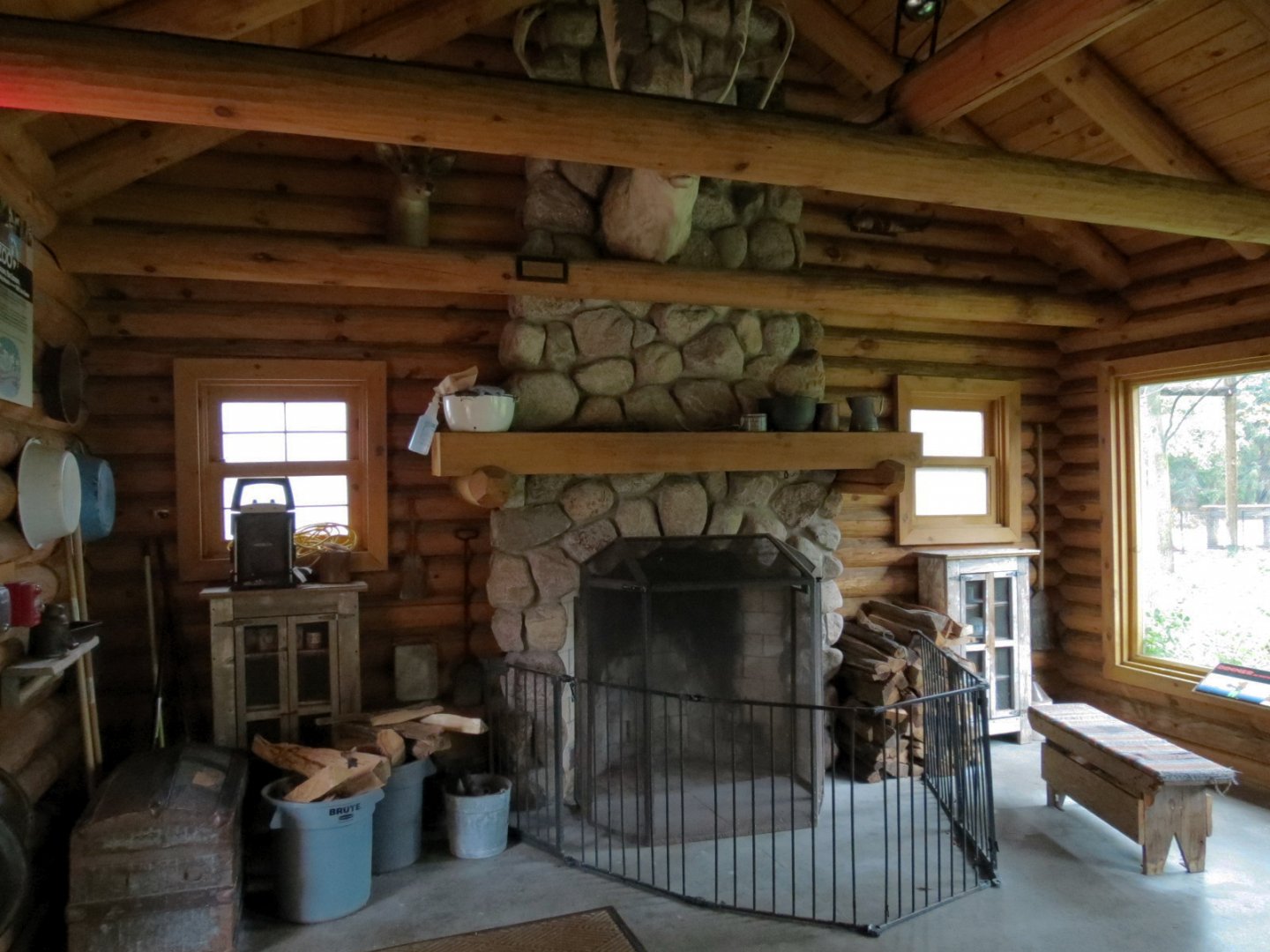 Arctic Encounter - Gray Wolf Exhibit