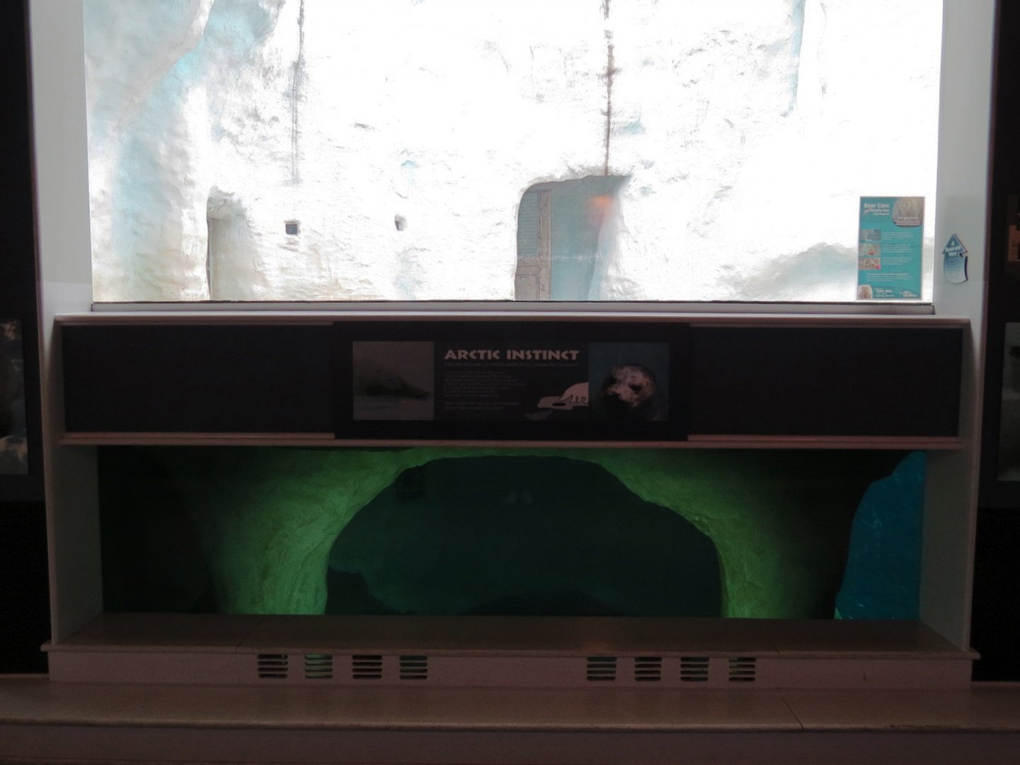 Arctic Encounter - Grey Seal Exhibit (Below), Polar Bear Exhibit (Above)