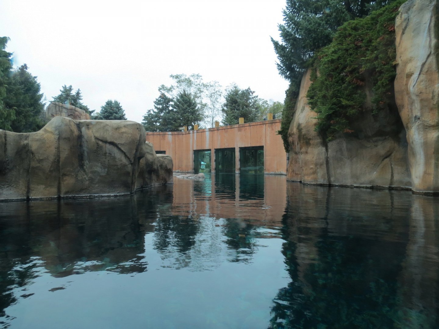 Arctic Encounter - Grey Seal Exhibit