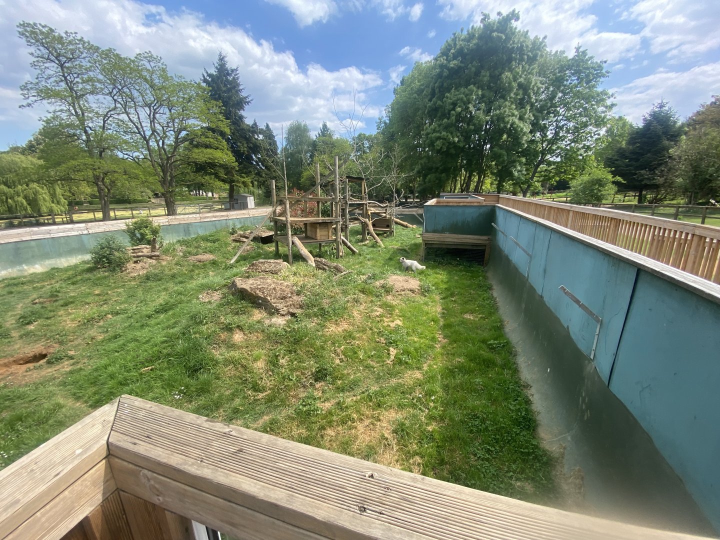 Arctic fox enclosure 090525