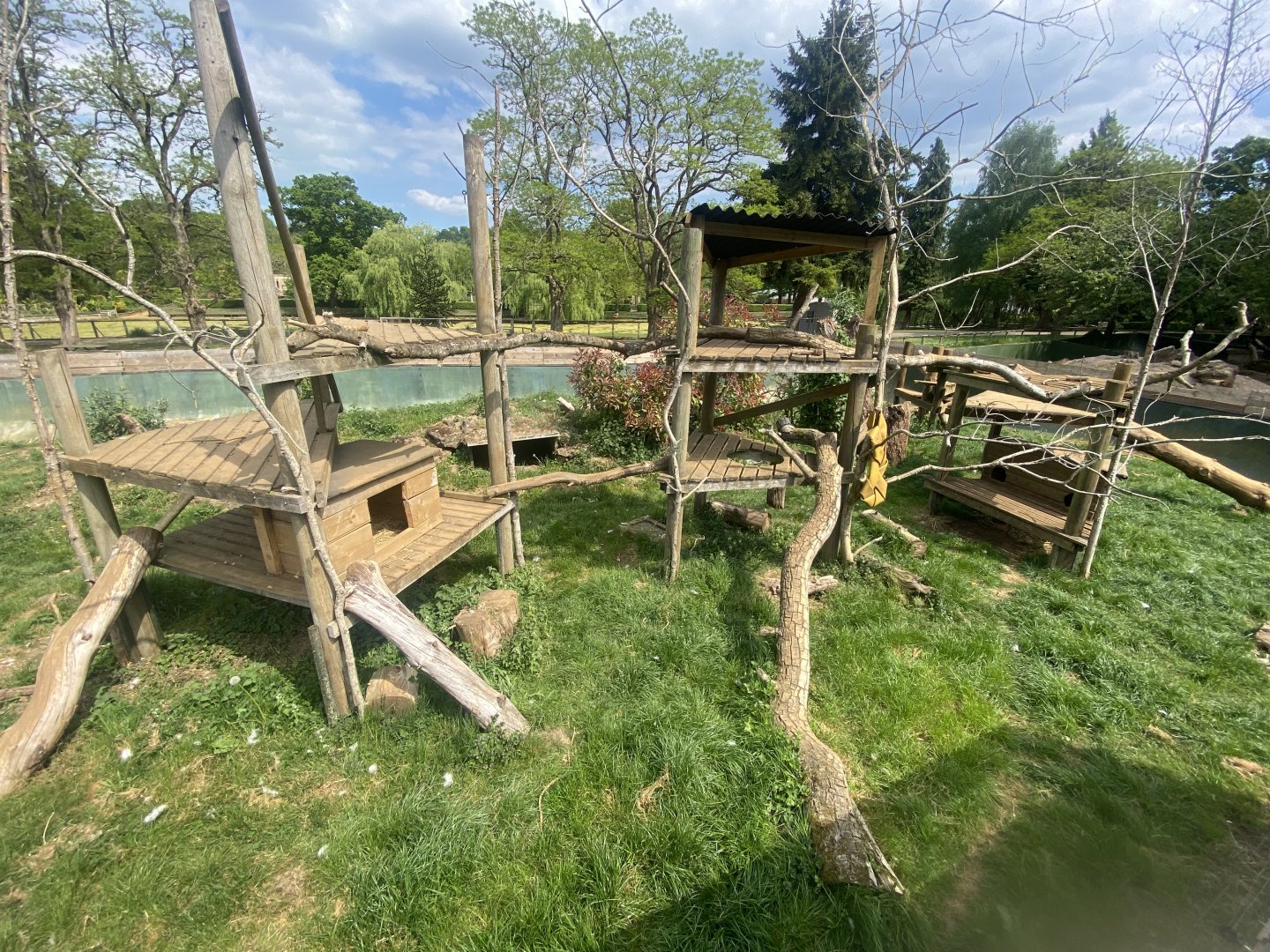 Arctic fox enclosure 090525