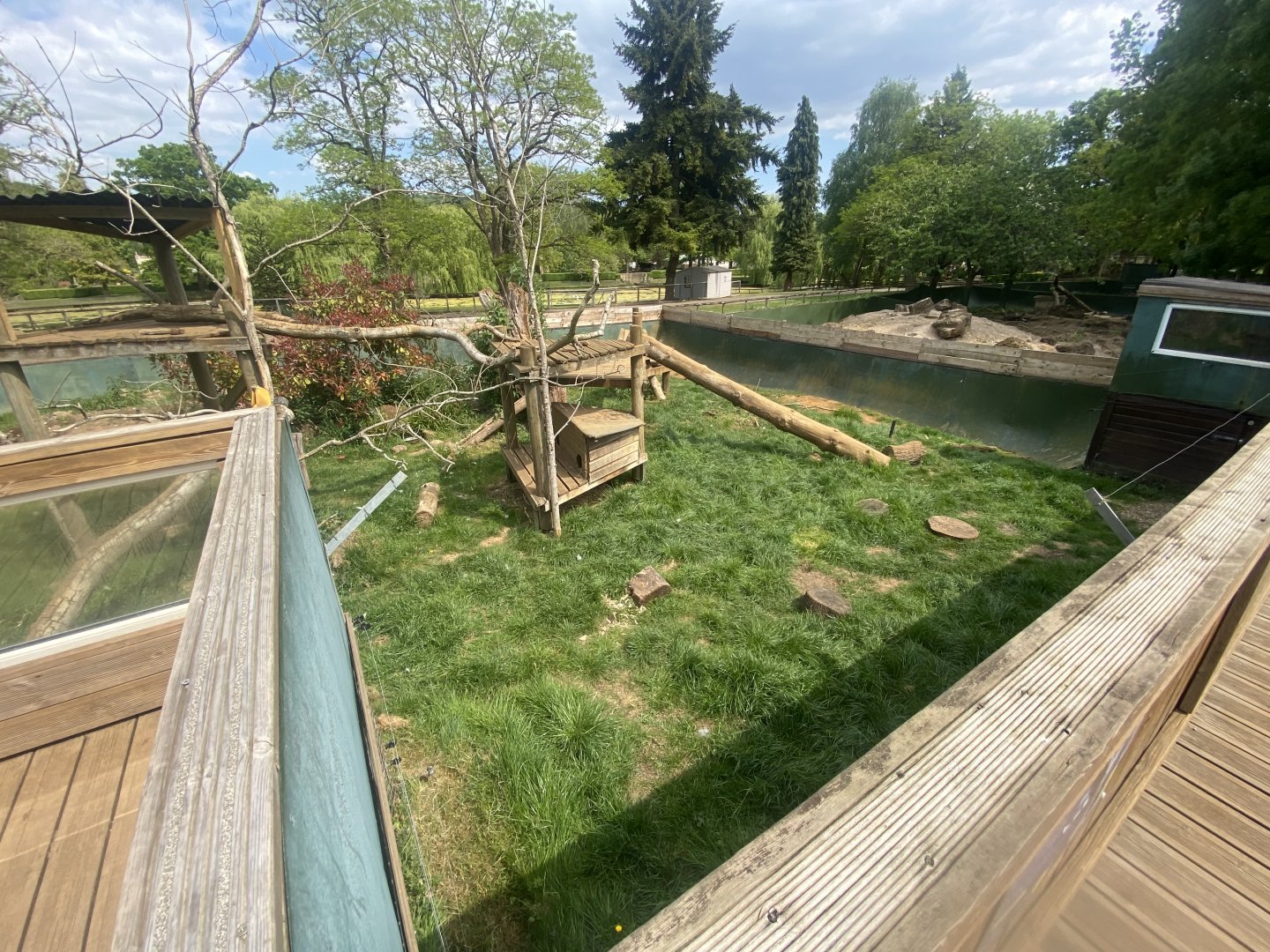 Arctic fox enclosure 090525