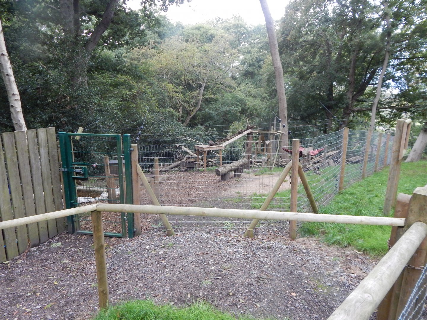 Arctic fox enclosure 130925