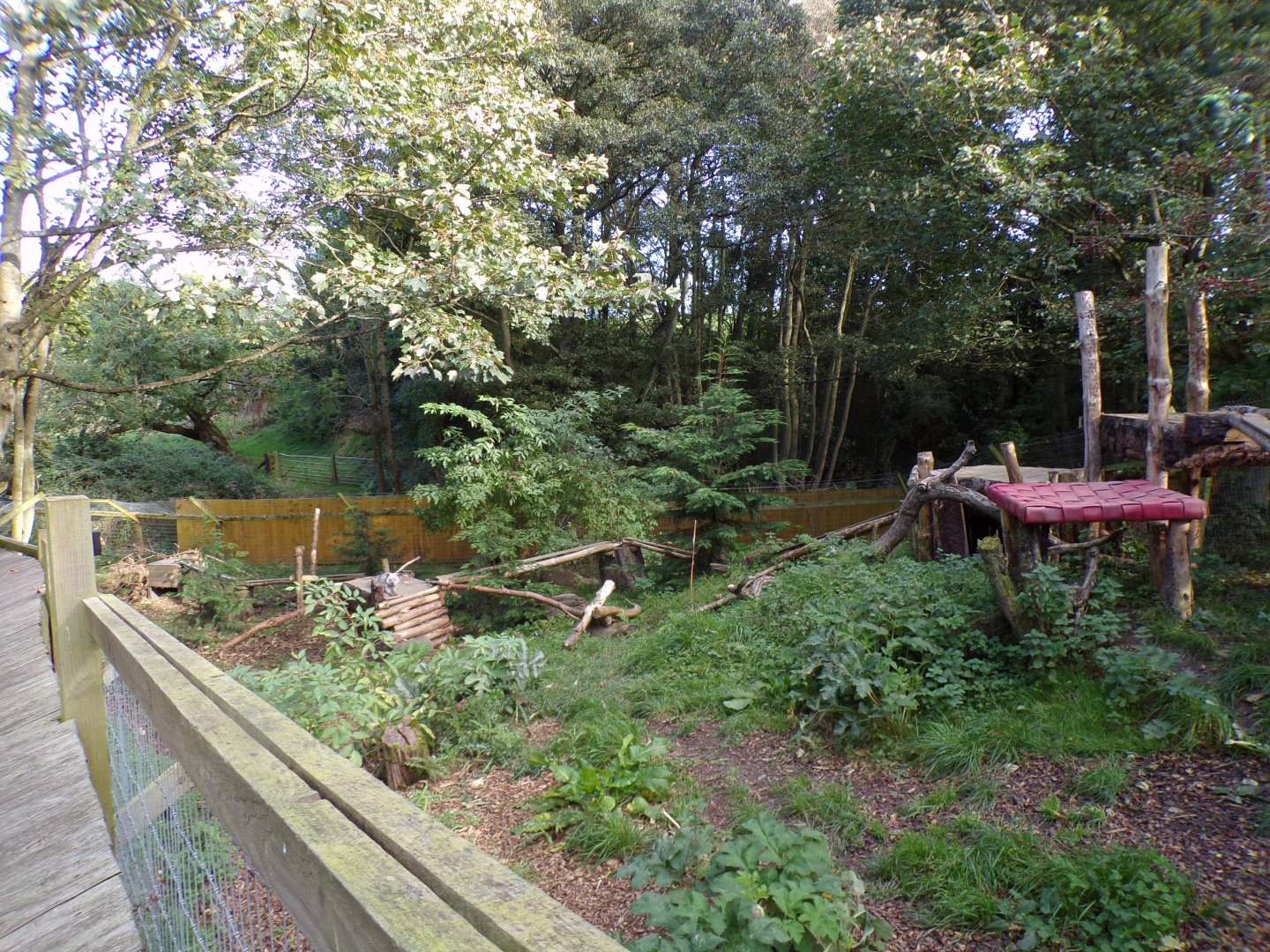 Arctic fox enclosure 14.10.23