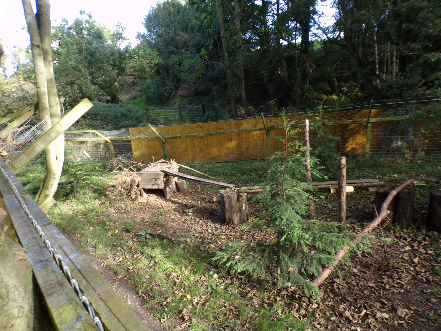 Arctic fox enclosure 14.10.23