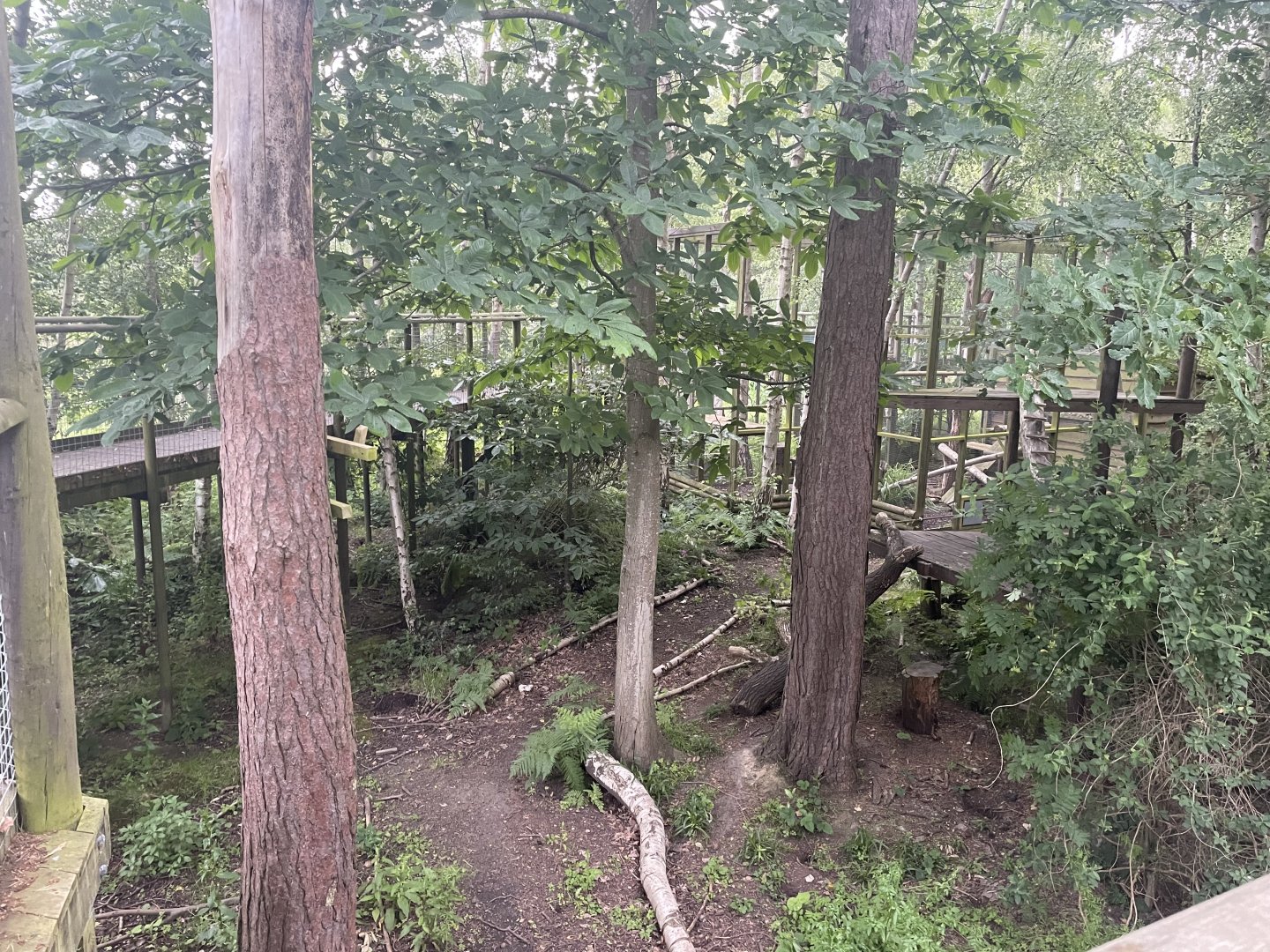 Arctic Fox Enclosure (2)